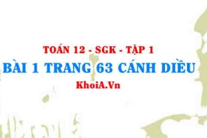 Bài 1 trang 63 Toán 12 tập 1 Cánh Diều